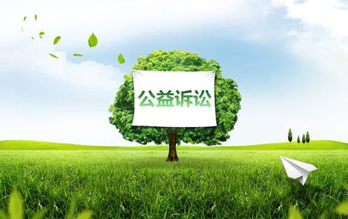 被判种树还要保活 环境补偿修复式公益诉讼的实效探析与亚树科技的创新实践